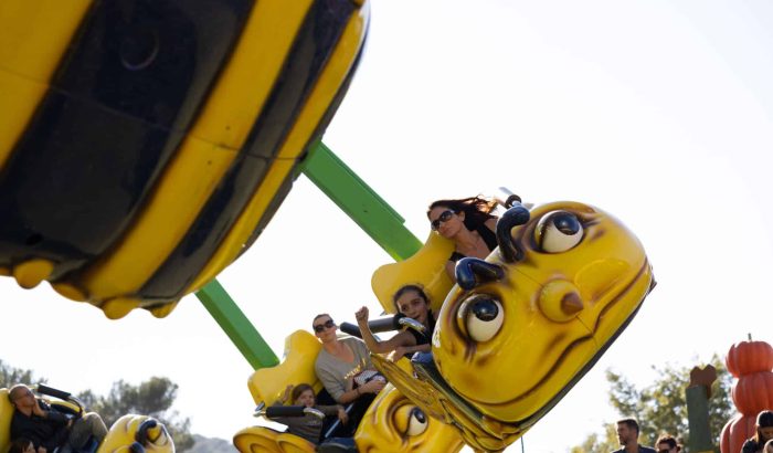 OK CORRAL offre des manèges pour toute la famille avec ce grand huit amusant, parfait pour une journée en famille dans le parc d’attractions dans le Sud de la France. Les enfants et les adultes s’amusent dans une ambiance festive, entourés de décors immersifs.

OK CORRAL propose des sensations fortes avec ce manège inspiré des abeilles, idéal pour les amateurs de sensations fortes. Les familles peuvent profiter d'une expérience unique dans ce parc à thème familial,
