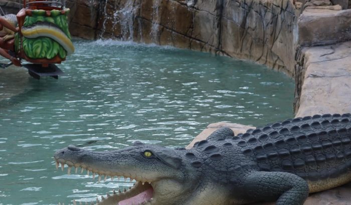 OK CORRAL, un parc d'attractions dans le Sud de la France, offre une expérience immersive avec sa zone aquatique animée. Les familles peuvent découvrir des attractions pour enfants tout en profitant d'une ambiance Far West. L'animation en plein air et les décors naturels créent un cadre idéal pour une journée en famille.

Dans le parc à thème familial OK CORRAL, les visiteurs peuvent s'émerveiller devant des spectacles western captivants. L'atmosphère conviviale et