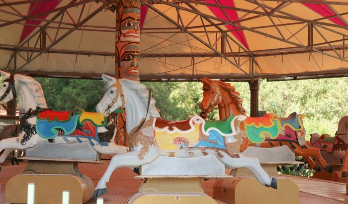 crazy horse IMG_1647