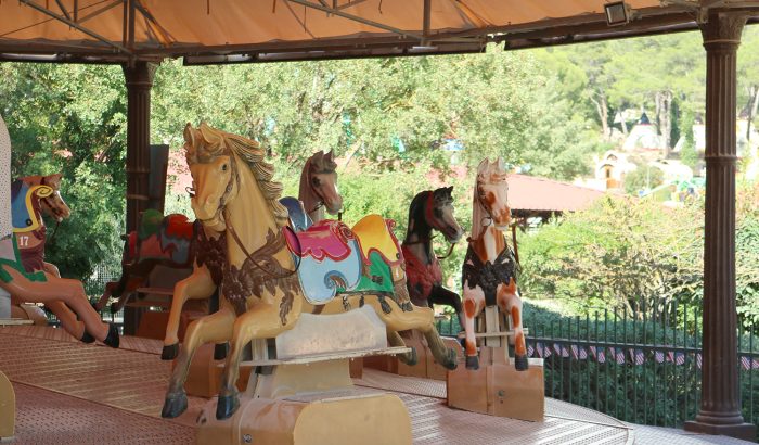 crazy horse IMG_1649