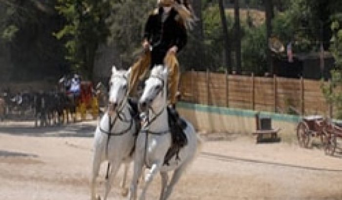 OK CORRAL propose un spectacle de cow-boys captivant, immergeant les visiteurs dans une ambiance Far West authentique. Ce parc d’attractions dans le Sud de la France offre un divertissement en Provence inoubliable pour toute la famille. Les enfants et les amateurs de sensations fortes apprécieront les acrobaties équestres et l'animation conviviale qui créent une expérience festive.