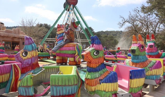 pinata IMG_2462