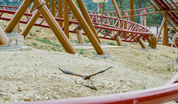 OK CORRAL offre des sensations fortes avec ses montagnes russes palpitantes, parfaites pour les amateurs de sensations. Ce parc d’attractions dans le Sud de la France garantit une journée en famille remplie d'adrénaline et de rires.

Dans le parc à thème familial OK CORRAL, les enfants peuvent admirer un spectacle de cow-boys captivant, plongeant dans une ambiance Far West authentique. Ce divertissement en Provence ravira petits et grands avec des animations en plein