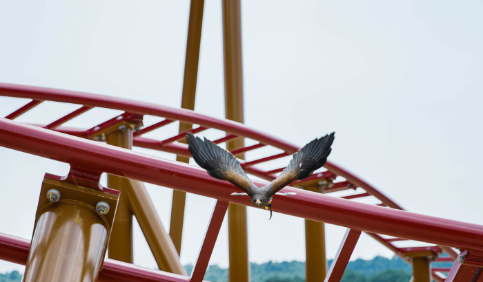 OK CORRAL, le parc d’attractions dans le Sud de la France, offre une expérience unique avec ses montagnes russes palpitantes. Les amateurs de sensations fortes apprécieront ce grand huit immersif, idéal pour une journée en famille.

OK CORRAL, parc à thème familial, propose des spectacles western captivants qui plongent petits et grands dans une ambiance Far West authentique. Ces animations en plein air garantissent du divertissement en Provence, parfait pour toute la famille.

OK CORRAL
