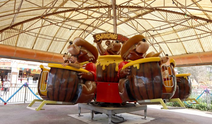 swinging bears IMG_2421