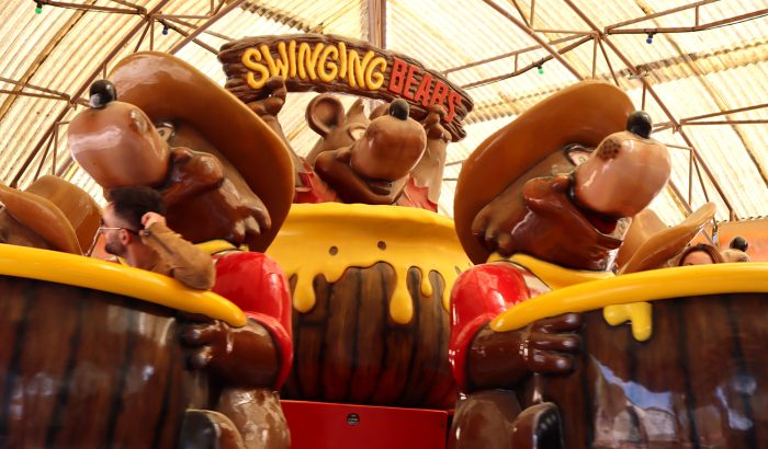 swinging bears IMG_2423