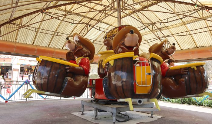 swinging bears IMG_2426