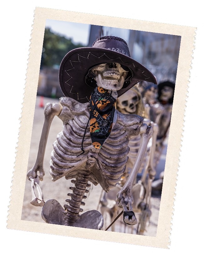 OK CORRAL offre des sensations fortes surtout durant le mois d'octobre où l'on peut y fêter Halloween. Situé dans un parc d’attractions dans le Sud de la France, il garantit une journée en famille inoubliable dans une ambiance Far West immersive.