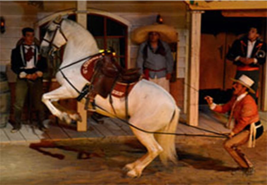 Spectacle captivant au Parc d’attractions dans le Sud de la France, mettant en scène un cheval dressé dans une ambiance Far West. Les artistes, habillés en cowboy, offrent un divertissement en Provence, parfait pour les familles. Une expérience immersive qui ravira les jeunes enfants et adolescents, avec des animations en plein air et des spectacles western inoubliables.